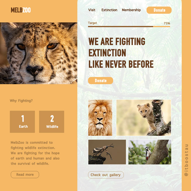 Web Template for Zoos